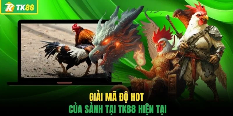 Giải mã độ hot của sảnh tại TK88 hiện tại