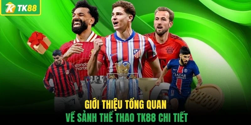 Giới thiệu tổng quan về sảnh thể thao TK88 chi tiết